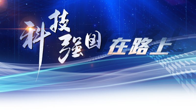 免费saas平台和付费哪个好