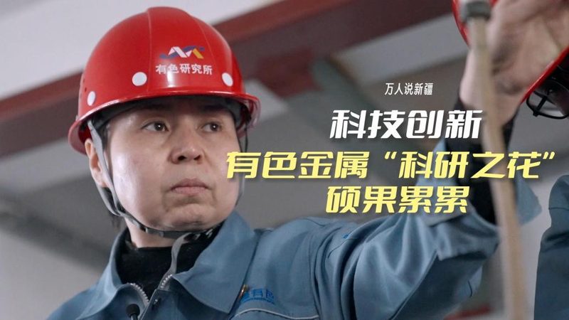 数据湖解决方案：构建企业大数据的基石**